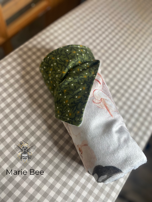 Couverture dinosaure