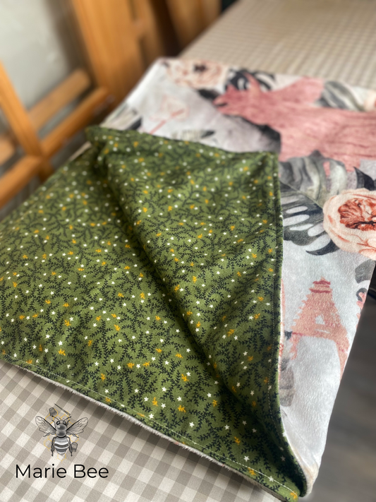 Couverture dinosaure